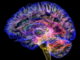 操操屌大脑植入物有助于严重头部损伤恢复